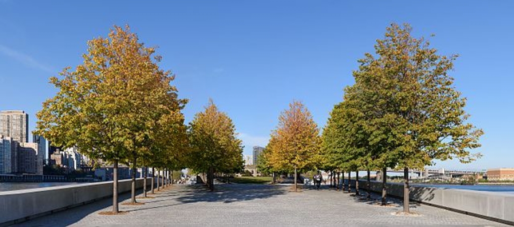 Four Freedoms Park